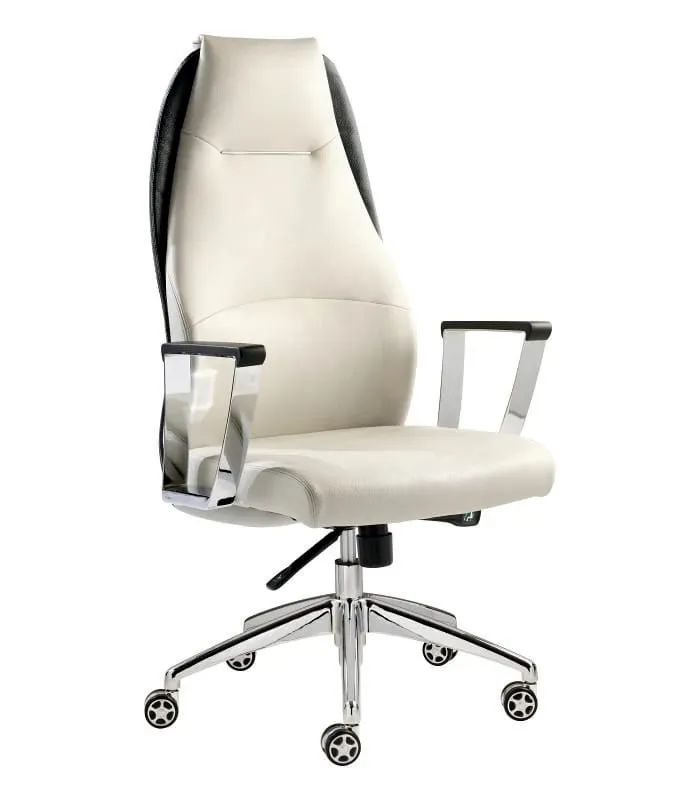 Director Chair