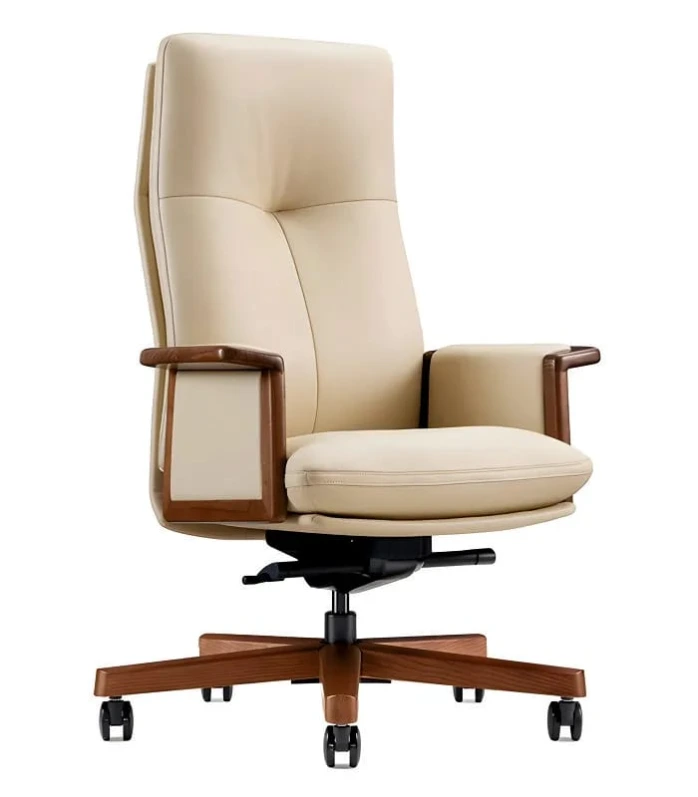 Director chair